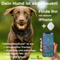 HIERistMeinHund - der leichte Tracker, der dir zeigt, wo dein Hund ist – ganz ohne Abo oder App.